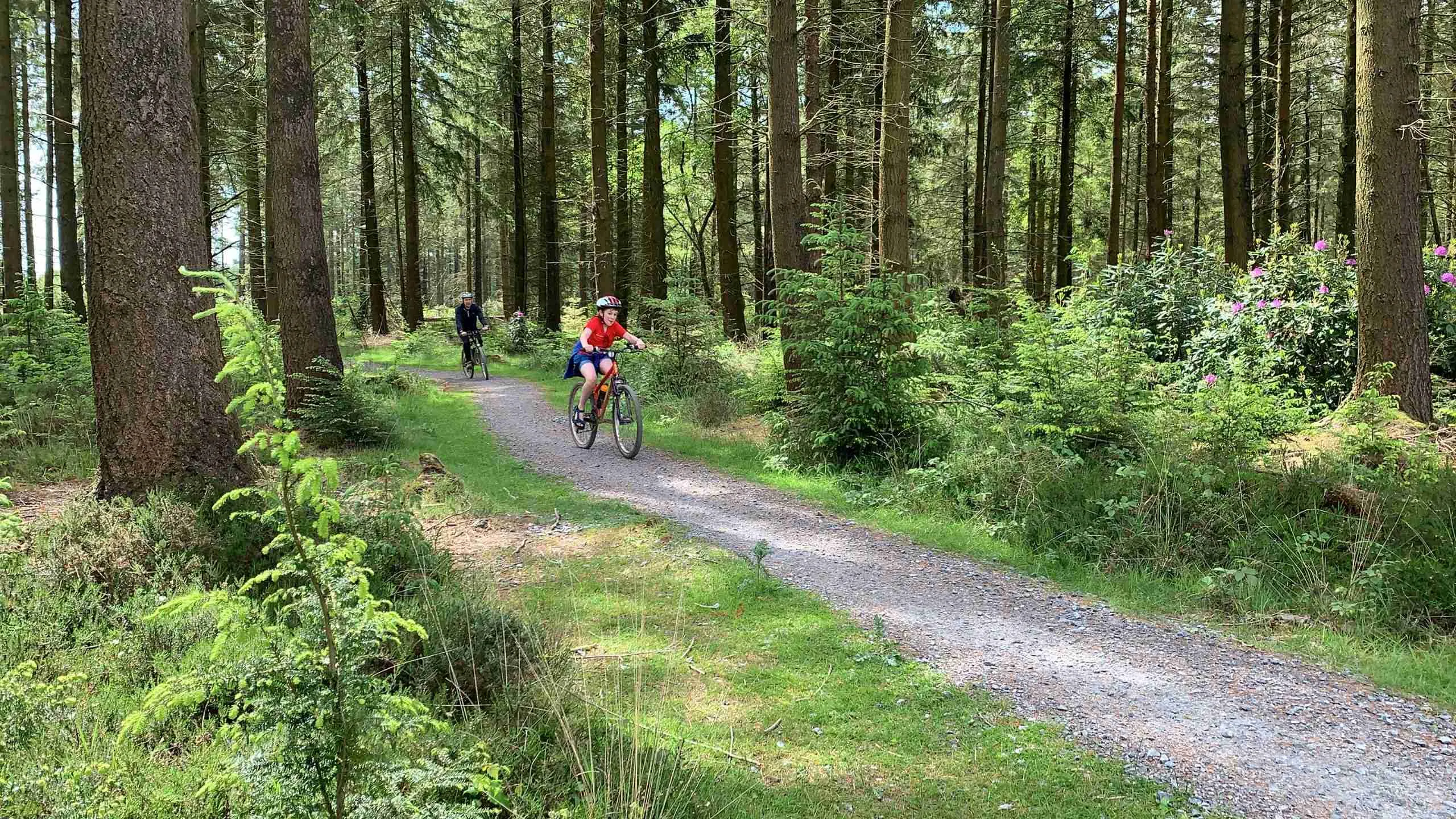 boy cycling at haldon forest park